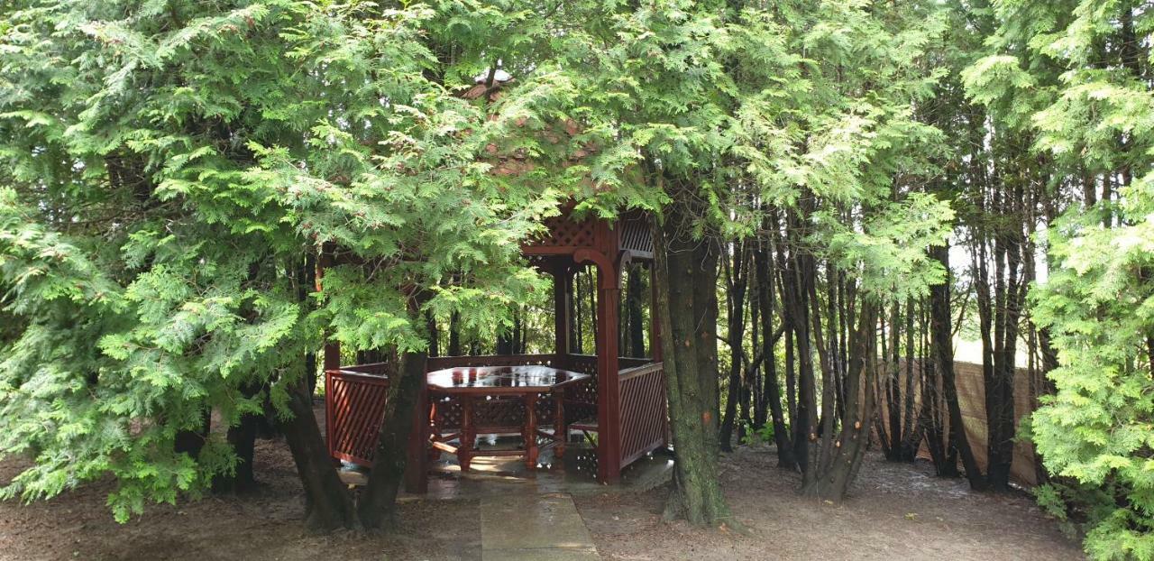 Mila Home Balaton Balatonfuzfo Ngoại thất bức ảnh